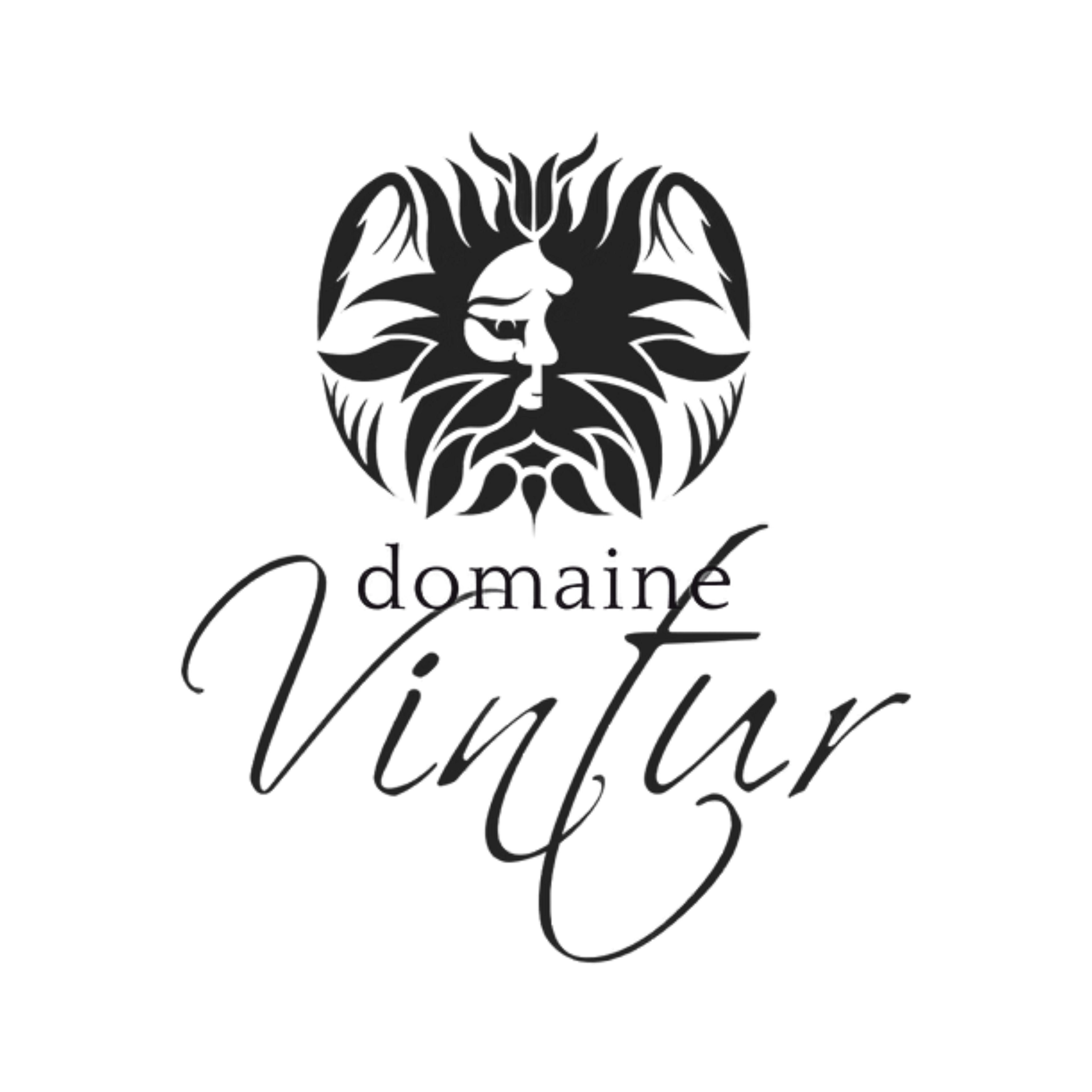 Domaine Vintur